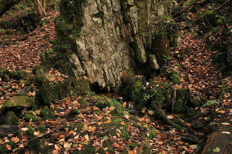 Rostoczek 11.2008 075